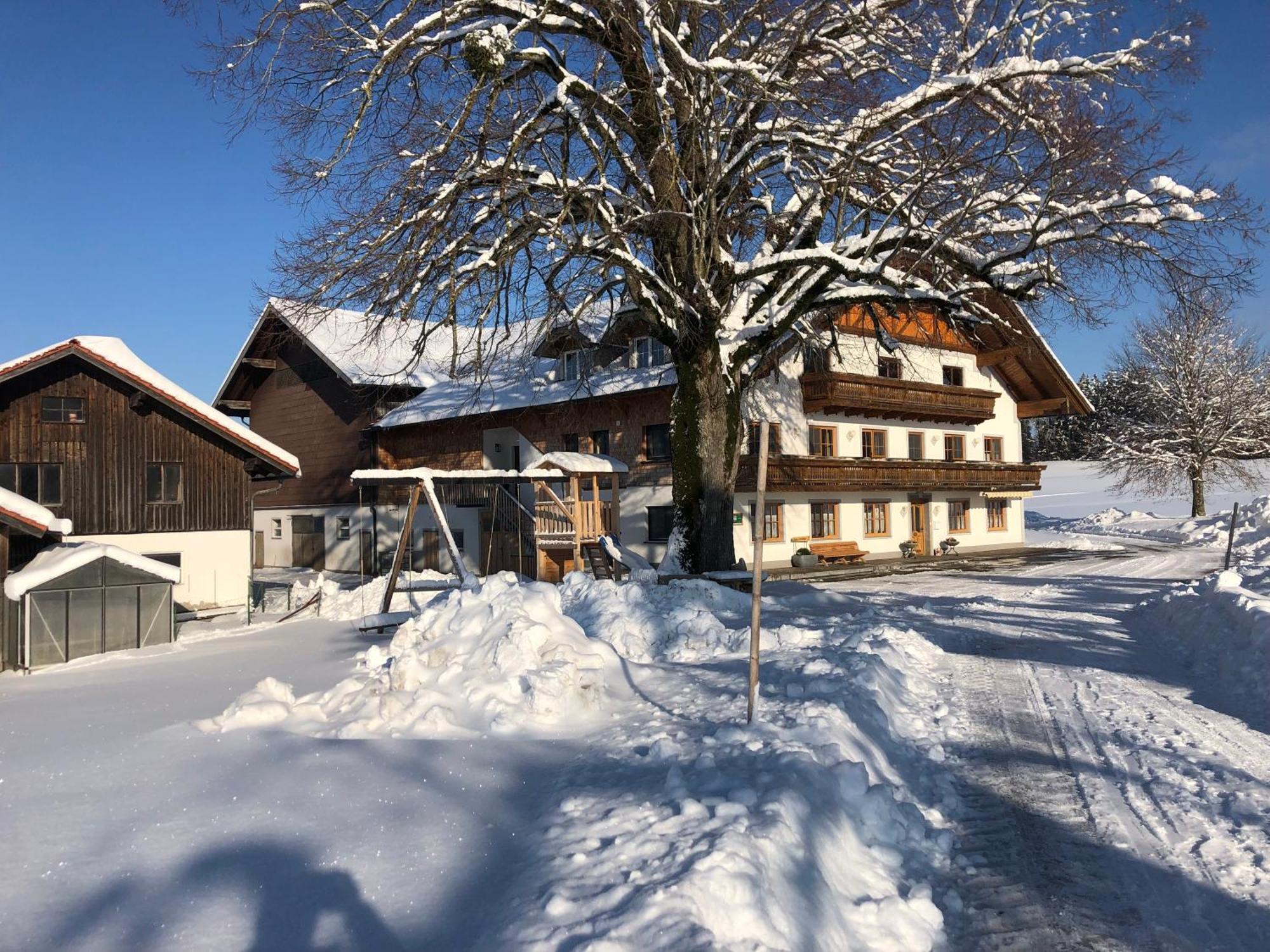 Апартаменты Biohof-Feichtinger Целль-ам-Мос Экстерьер фото