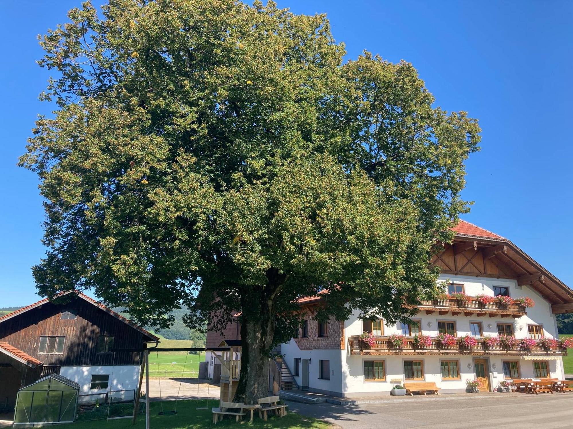 Апартаменты Biohof-Feichtinger Целль-ам-Мос Экстерьер фото